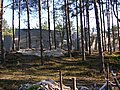 DSCN4491.jpg