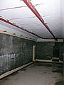 DSCN4503.jpg