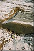 mru_pzw694_makaron_04.jpg