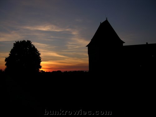 DSCN4601.jpg