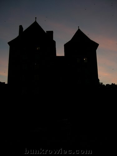 DSCN4611.jpg