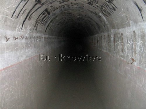 182_8251.JPG