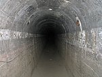 182_8282.JPG