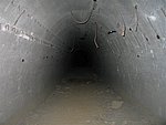 183_8338.JPG