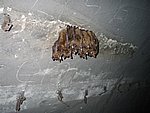 183_8344.JPG