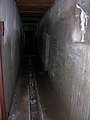 DSCN4575.jpg