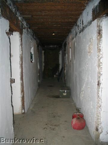 184_8493.JPG