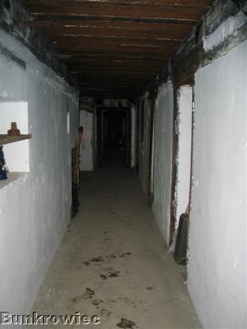 184_8496.JPG