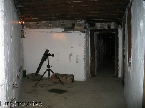 184_8500.JPG