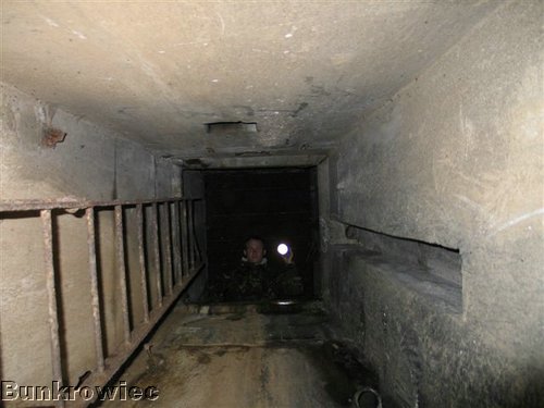 185_8509.JPG