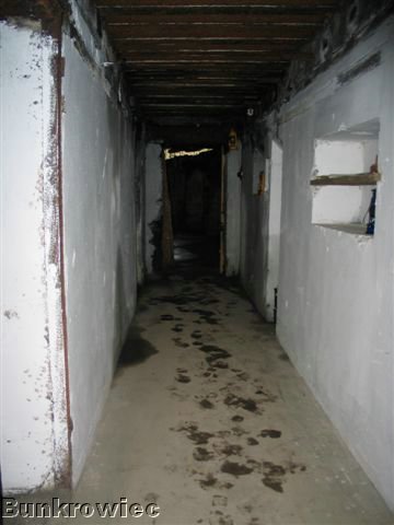 185_8513.JPG