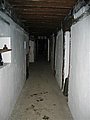 184_8496.JPG