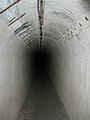 185_8502.JPG