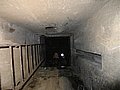 185_8509.JPG