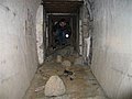 185_8511.JPG