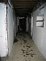 185_8513.JPG