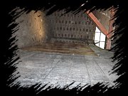 IMG_1296.JPG