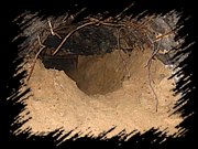 IMG_1308.JPG