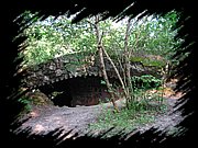 IMG_1316.JPG