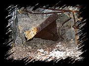 IMG_1317.JPG