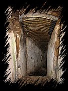 IMG_1350.JPG