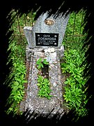 IMG_1362.JPG