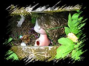 IMG_1363.JPG
