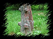 IMG_1364.JPG