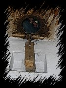 DSCN0977.JPG