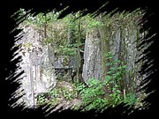 DSCN0982.JPG