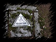 DSCN0986.JPG