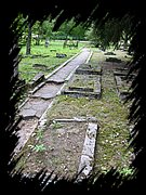 DSCN0987.JPG