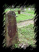 DSCN0990.JPG